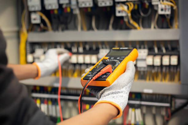 Best Electrical Panel Upgrades  in West Hammond, NM